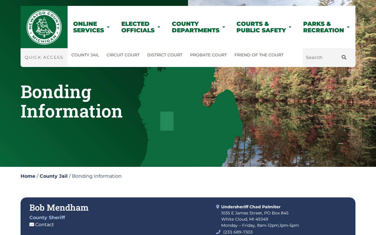 Newaygo County bond and payment methods page showing court cash, online, and surety options for a traffic warrant