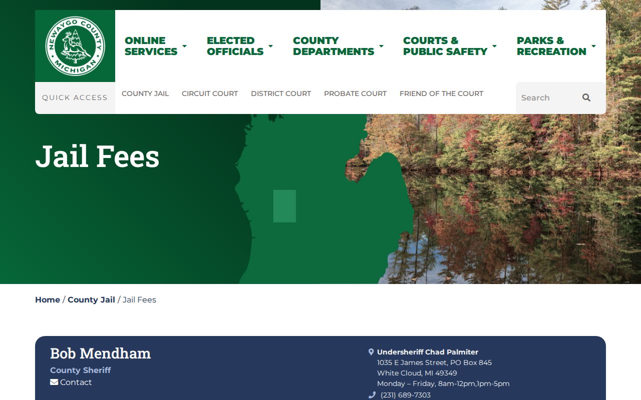 Newaygo County fee page showing how an unpaid small charge can escalate into a District Court municipal warrant matter